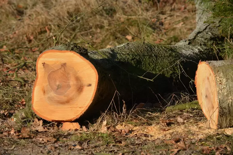 Lakossági tájékoztató