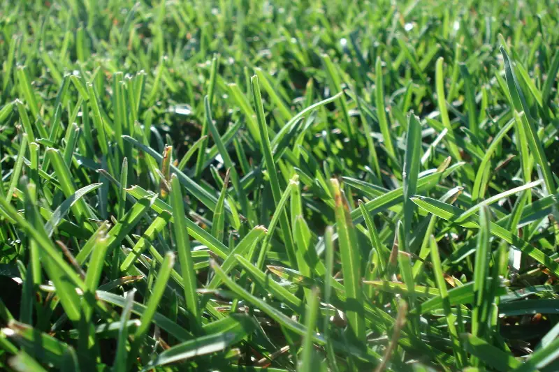Lakossági tájékoztató fűnyírási munkákról