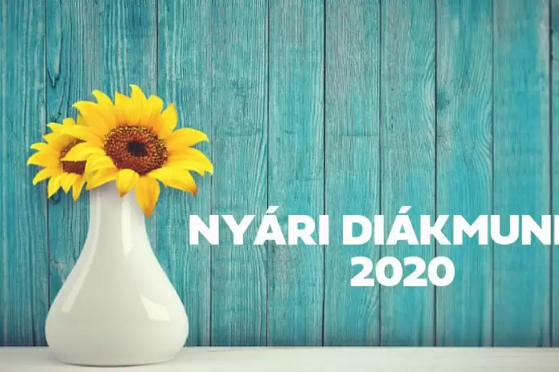 Nyári diákmunka 2020 program