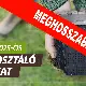 Pótjelentkezés a komposztáló pályázatra