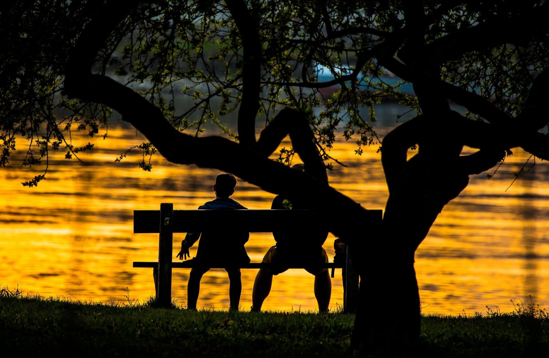 Wir entlang der Donau - fotópályázat