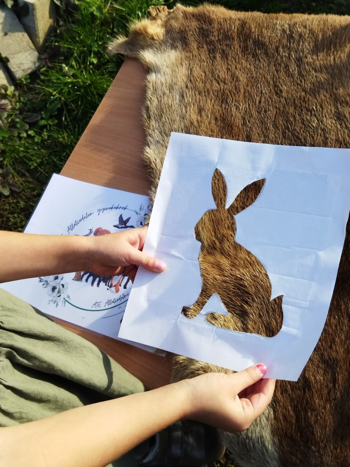 25 éve Zöld Óvoda az intézményünk - „Vadvédelem gyerekszemmel” 2022